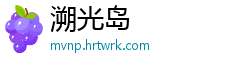 溯光岛